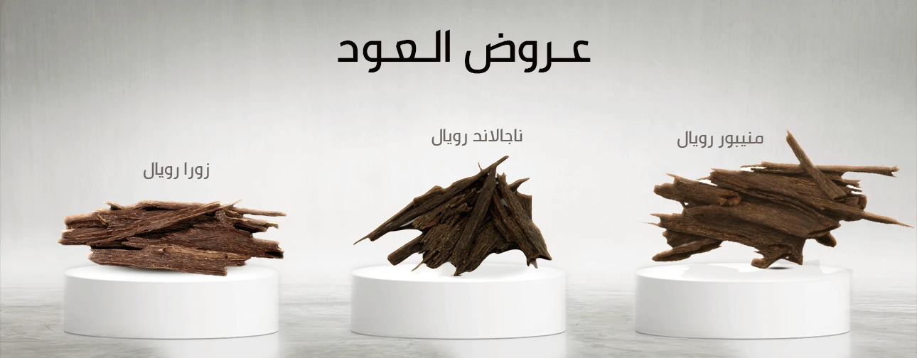 عروض العود